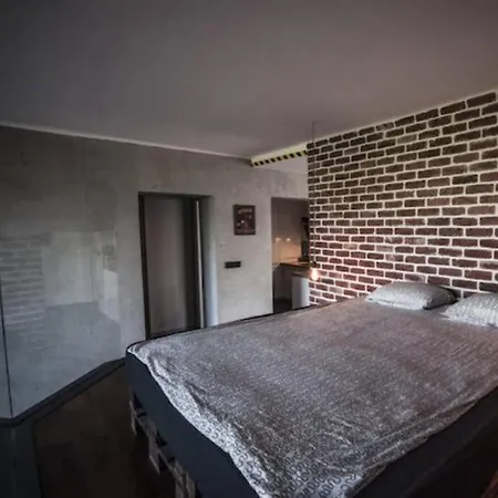 Artsy Loft With Balcony And Free Parking * 류블랴나